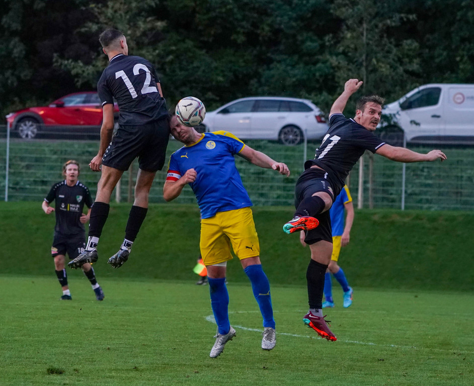 DSC01481aa.jpg