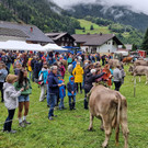 Verbella14.jpg