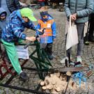 IMG_5545.JPG