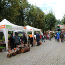 IMG_5664.JPG