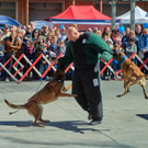 p11809-Foto4.jpg