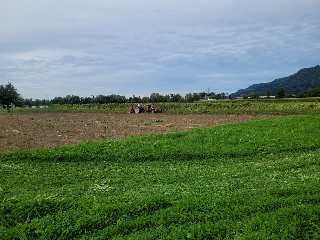 Kartoffel-Ernte-Maschine Nostalgie SCHLACHTER 13-09-2022 _1_.jpg