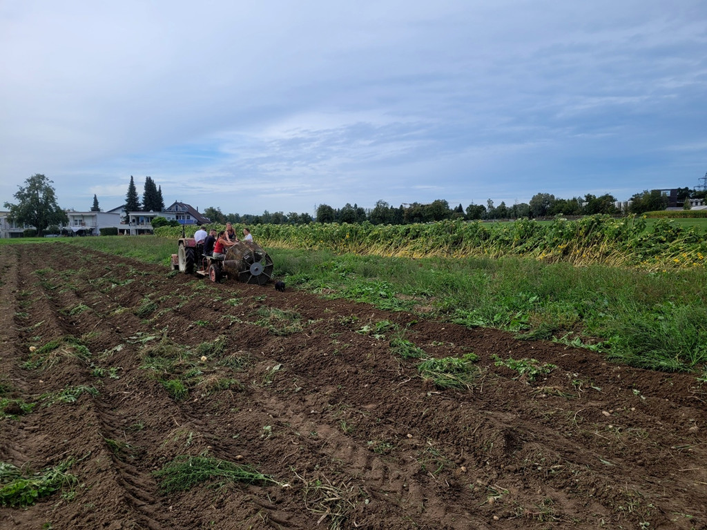 Kartoffel-Ernte-Maschine Nostalgie SCHLACHTER 13-09-2022 _2_.jpg