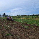 Kartoffel-Ernte-Maschine Nostalgie SCHLACHTER 13-09-2022 _2_.jpg