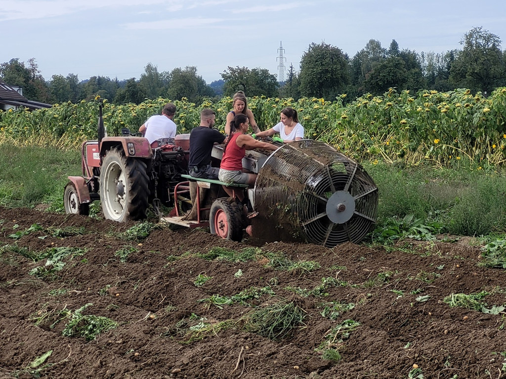 Kartoffel-Ernte-Maschine Nostalgie SCHLACHTER 13-09-2022 _3_.jpg