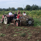 Kartoffel-Ernte-Maschine Nostalgie SCHLACHTER 13-09-2022 _3_.jpg