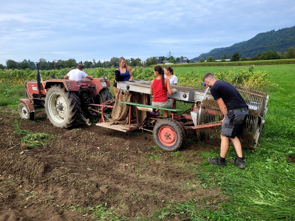 Kartoffel-Ernte-Maschine Nostalgie SCHLACHTER 13-09-2022 _5_.jpg