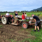 Kartoffel-Ernte-Maschine Nostalgie SCHLACHTER 13-09-2022 _5_.jpg