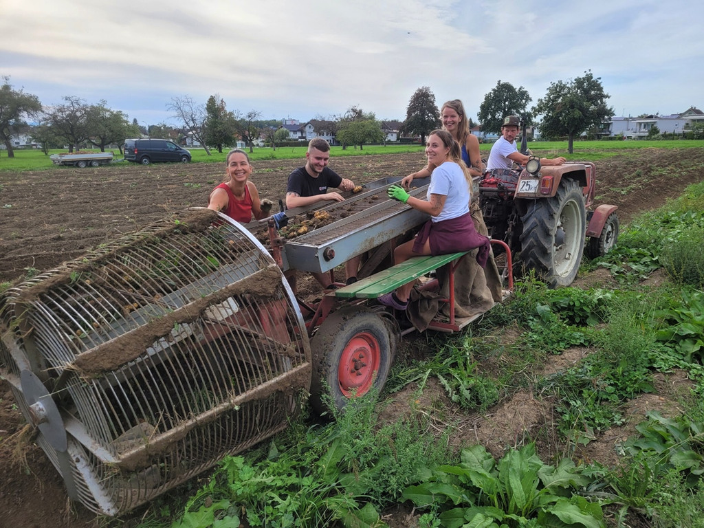 Kartoffel-Ernte-Maschine Nostalgie SCHLACHTER 13-09-2022 _6_.jpg