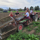 Kartoffel-Ernte-Maschine Nostalgie SCHLACHTER 13-09-2022 _6_.jpg