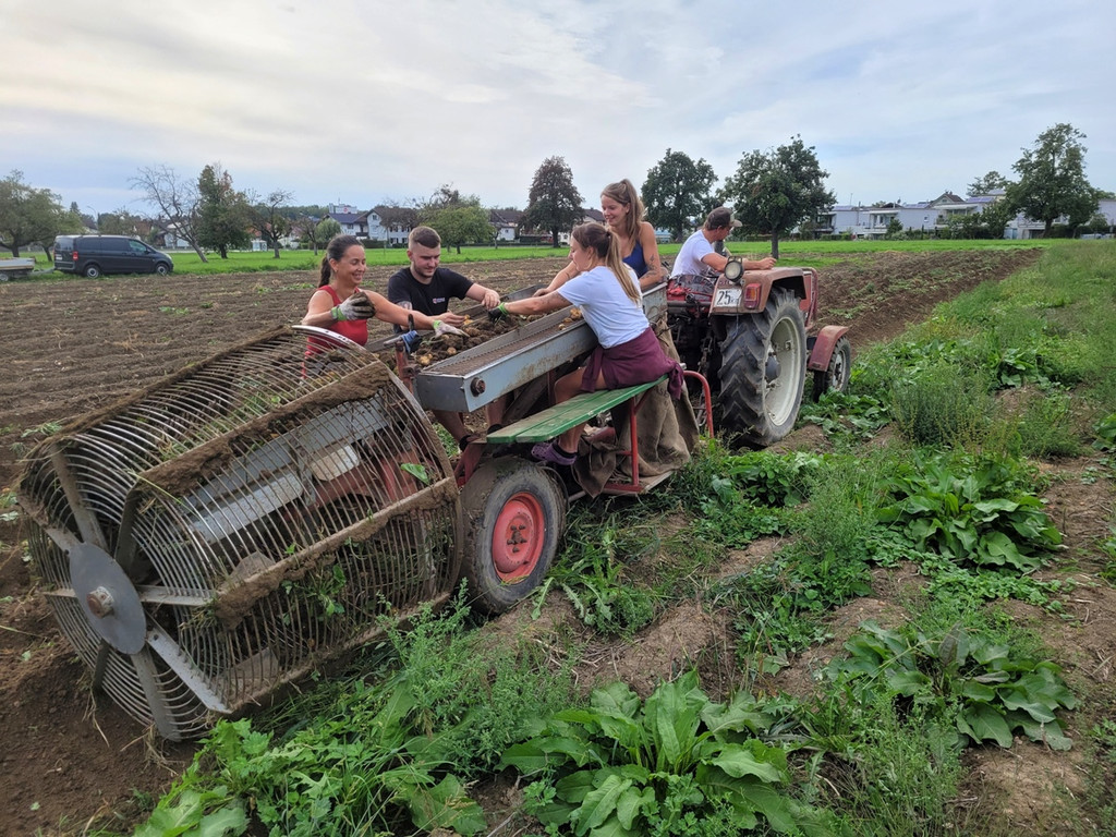 Kartoffel-Ernte-Maschine Nostalgie SCHLACHTER 13-09-2022 _7_.jpg