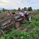 Kartoffel-Ernte-Maschine Nostalgie SCHLACHTER 13-09-2022 _7_.jpg