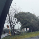2022-09-18T090044Z_523013847_RC2KJW9U592W_RTRMADP_3_ASIA-STORM-JAPAN.JPG