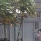 Japan_Asia_Storm_21645.jpg