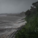 AFP_32JL8EX.jpg