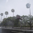 AFP_32JL8D3.jpg