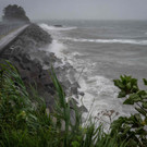AFP_32JL7XA.jpg