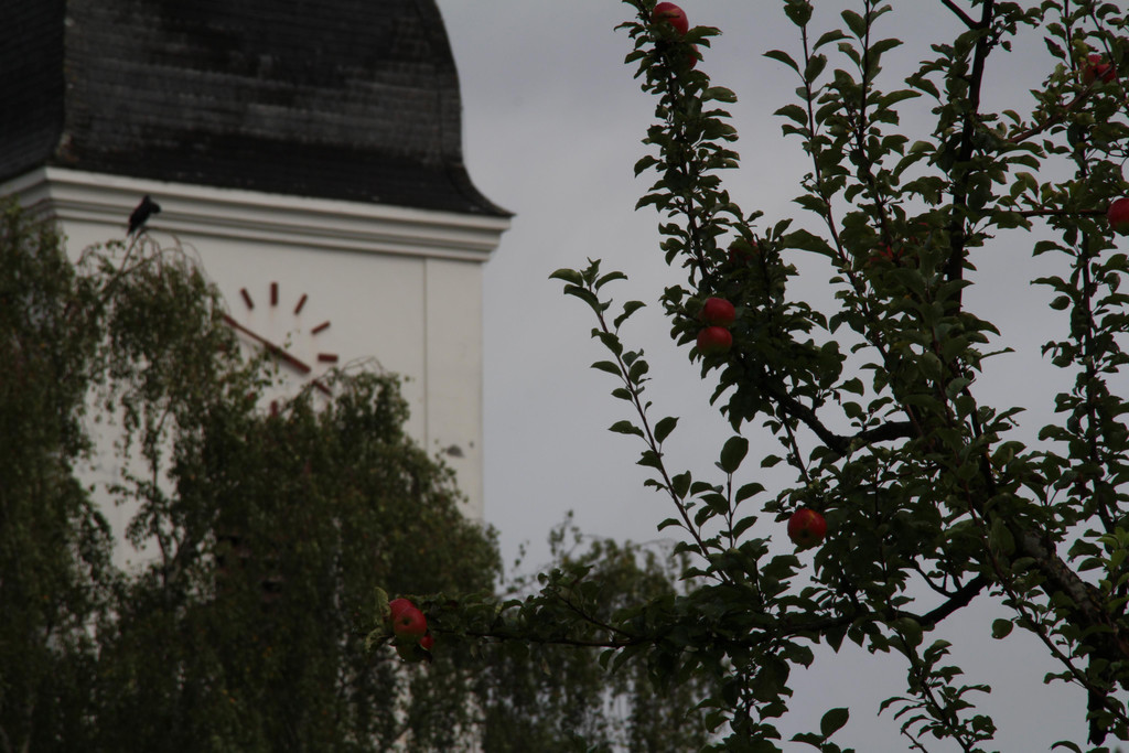 IMG_5691.JPG