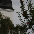 IMG_5691.JPG