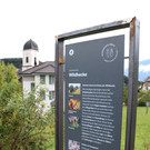 IMG_5704a.jpg