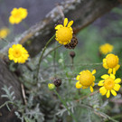 IMG_5770.JPG