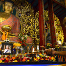 AFP_32JN6JP.jpg