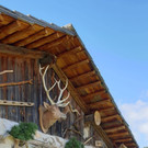 2_7_Villno__ss.jpg