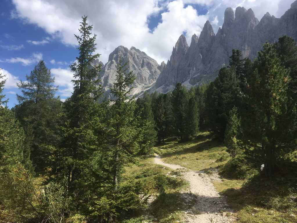 2_14_Villno__ss.JPG