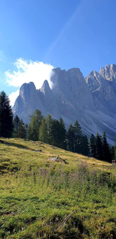 2_16_Villno__ss.jpg