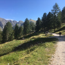 3_2_Villno__ss.JPG
