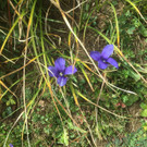 4_9_Villno__ss.JPG