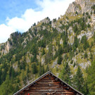 4_12_Villno__ss.jpg