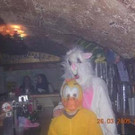 1024918.jpg