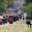 AFP_32JQ2GD.jpg