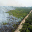 AFP_32JM3QU.jpg