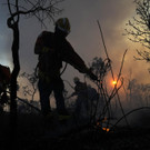 APTOPIX_Brazil_Fires_00308.jpg