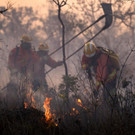Brazil_Fires_27633.jpg