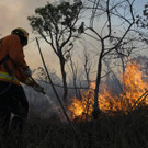 Brazil_Fires_66499.jpg