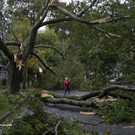 Tropical_Weather_Canada__35403.jpg