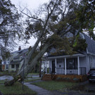 Tropical_Weather_Canada__45439.jpg