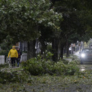 Tropical_Weather_Canada__51449.jpg