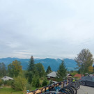 IMG_20220924_121047.jpg