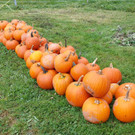 Kreative Kinder schnitzen Kürbisgesichter