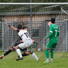 DSC07285aa.jpg