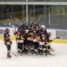 bulldogs7.jpg