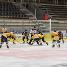 bulldogs9.jpg