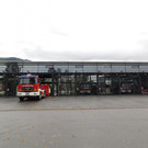 DSCI8487.JPG