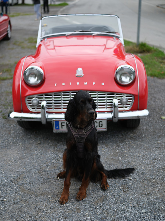 Oldtimer Benefiz Treffen _355_.jpg
