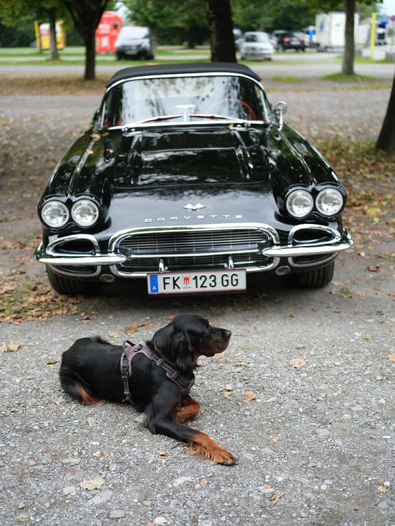 Oldtimer Benefiz Treffen _366_.jpg