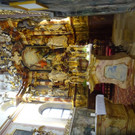 DSC05146.JPG